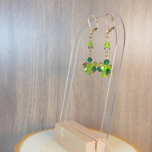 Earth Elemental Earrings
